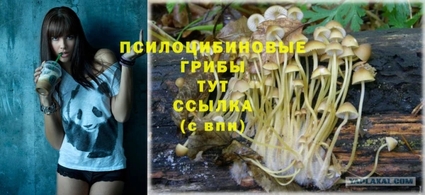дурь Липки