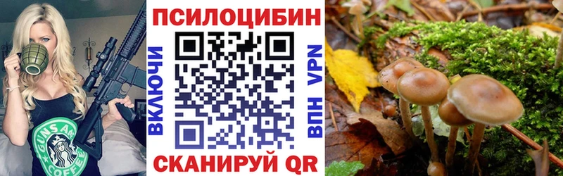 Купить закладки  Волжск  Псилоцибиновые грибы Psilocybe 